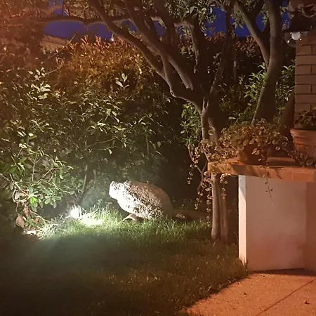 Nina&anita - Self Check In *