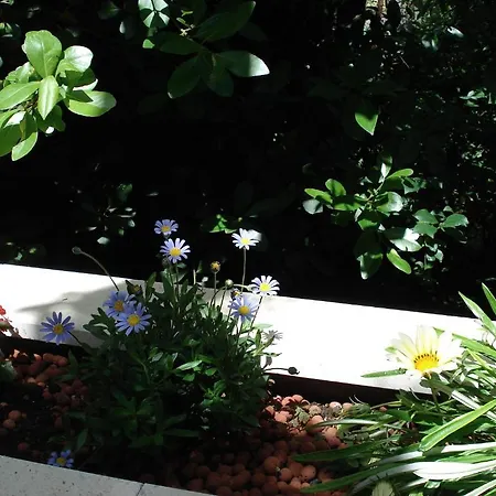 Nina&anita - Self Check In Lejlighed